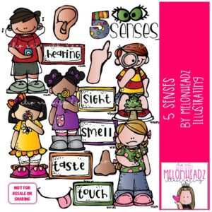 5 {five} Senses clip art, Smell clip art, Sight clip art, Hearing clip art COLORED Version
