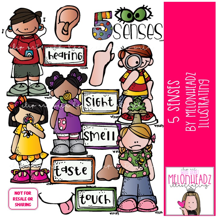 5 five Senses Clip Art Smell Sight Hearing COLORED VERSION 5 five Senses Clip Art Smell Sight Hearing COLORED VERSION