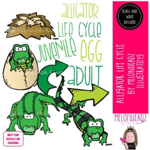 Alligator clip art, Life Cycle clip art, Amphibian clip art Mini
