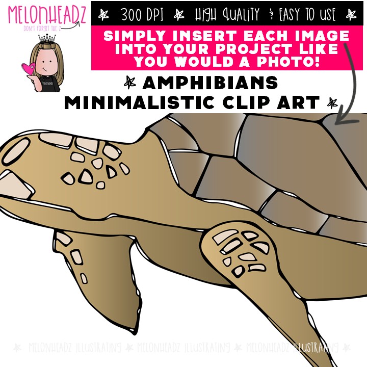 Amphibians clip art, Minimal Style Mini - Image 3