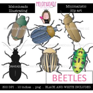 Beetles clip art, Minimal Style Mini