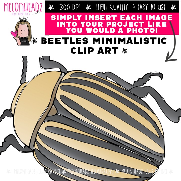 Beetles clip art, Minimal Style Mini - Image 3