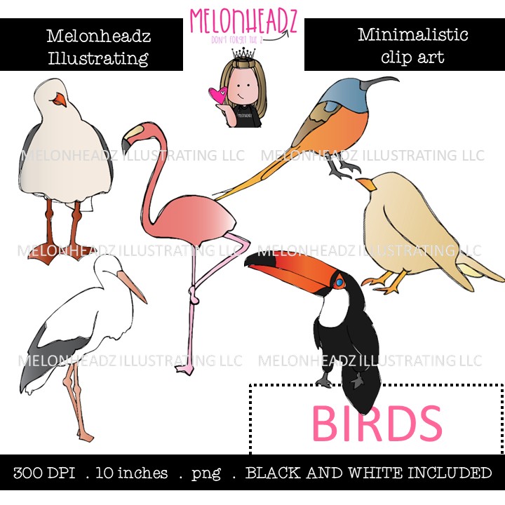 Birds clip art, Minimal Style Mini