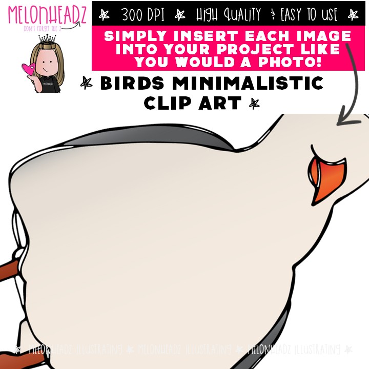 Birds clip art, Minimal Style Mini - Image 3