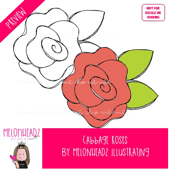 Cabbage Roses clip art, Single Image, flower, multicolored - Image 2