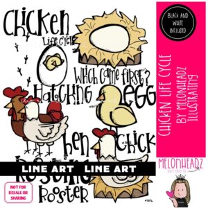 Chicken Life Cycle clip art, egg, sequence LINE ART and BLACK AND WHITE