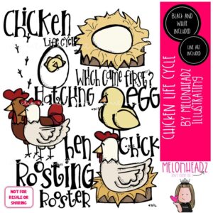 Chicken Life Cycle clip art, egg, sequence COMBO PACK