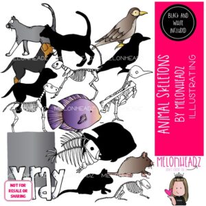 Animal Skeletons clip art, xray clip art COMBO PACK