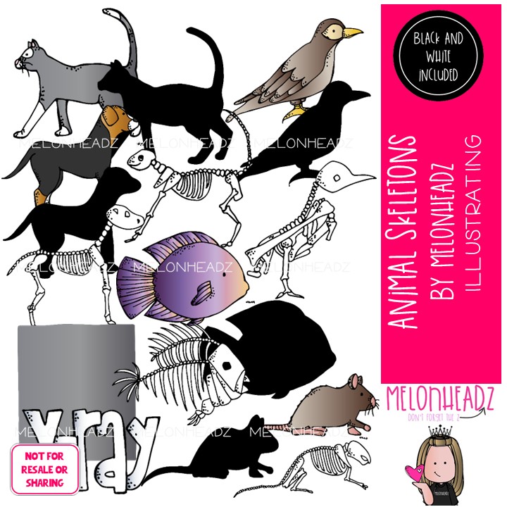 Animal Skeletons clip art, xray clip art COMBO PACK