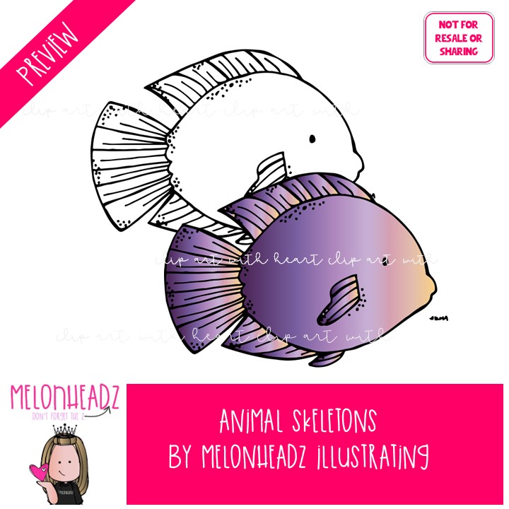 Animal Skeletons clip art, xray clip art COMBO PACK - Image 2