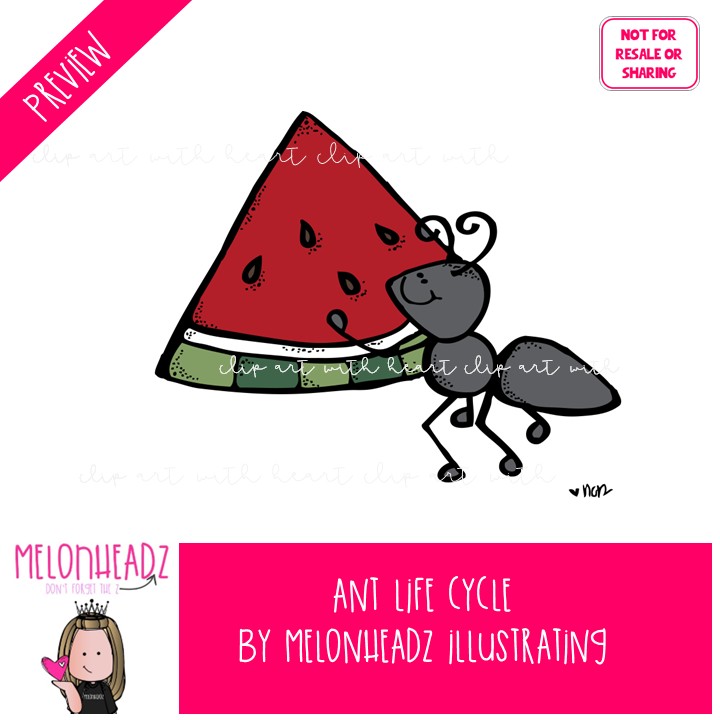 Ant Life Cycle clip art, Ant Farm clip art COLORED Version - Image 2