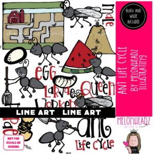 Ant Life Cycle clip art, Ant Farm clip art LINE ART and BLACK AND WHITE