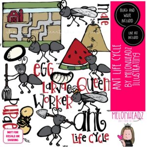 Ant Life Cycle clip art, Ant Hill clip art COMBO PACK