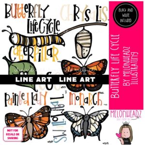 Butterfly Life Cycle clip art Butterfly clip art LINE ART and BLACK AND WHITE