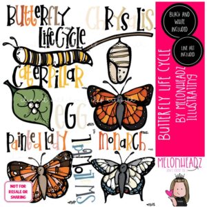Butterfly Life Cycle clip art Butterfly clip art COMBO PACK