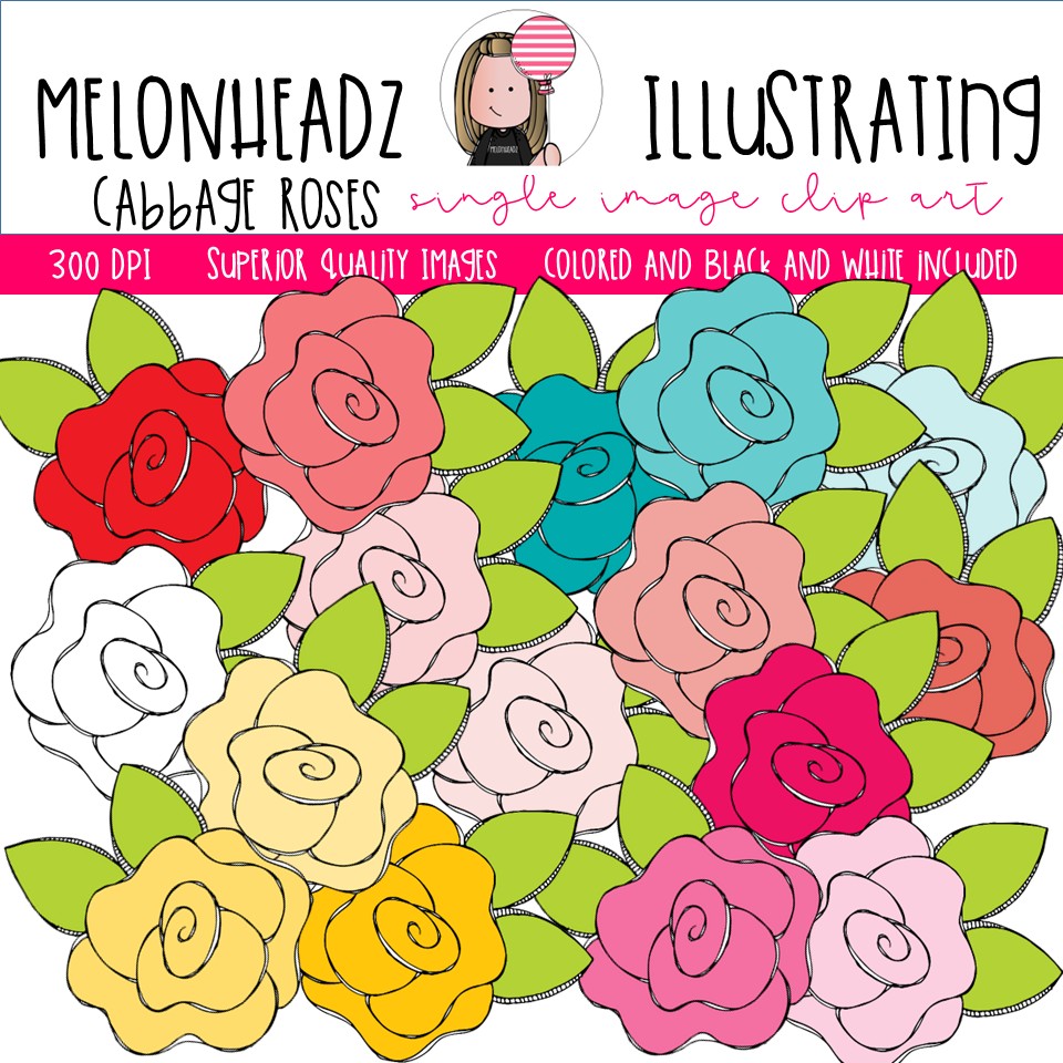 Cabbage Roses clip art, Single Image, flower, multicolored