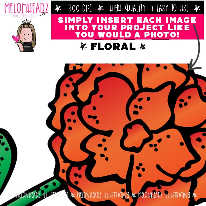 Floral clip art, flowers, daisy COLORED Version - Image 3