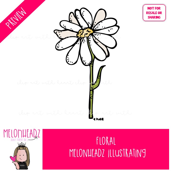 Floral clip art, flowers, daisy COLORED Version - Image 2