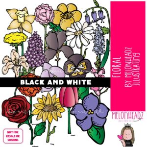 Floral clip art, flowers, daisy BLACK AND WHITE