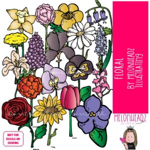 Floral clip art, flowers, daisy COLORED Version