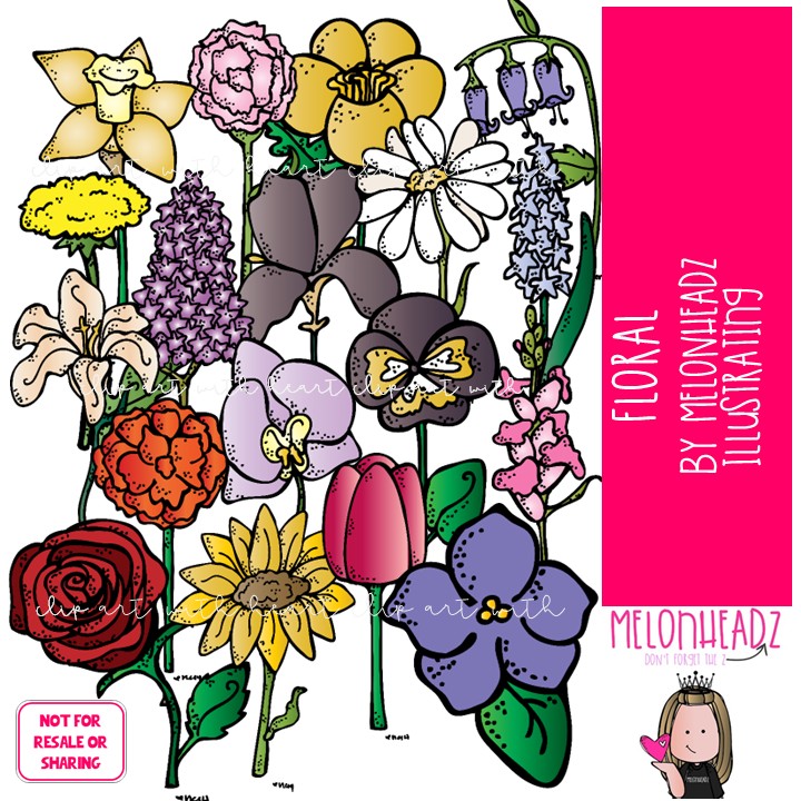 Floral clip art, flowers, daisy COLORED Version
