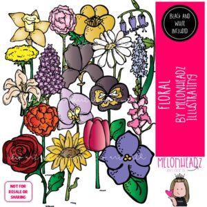 Floral clip art, flowers, daisy COMBO PACK