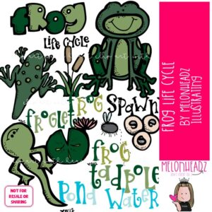 Frog Life Cycle clip art, science, sequence COLORED Version