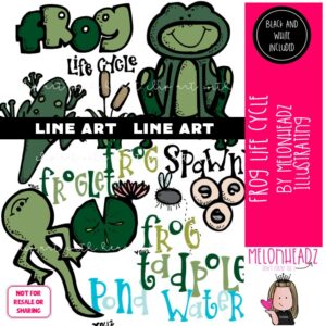 Frog Life Cycle clip art, science, sequence LINE ART and BLACK AND WHITE