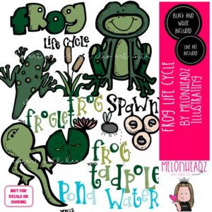 Frog Life Cycle clip art, science, sequence COMBO PACK