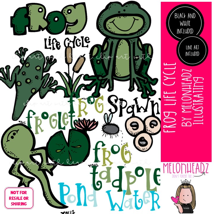 Frog Life Cycle clip art, science, sequence COMBO PACK