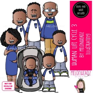 Human Life Cycle 3 clip art, sequence, growth Mini