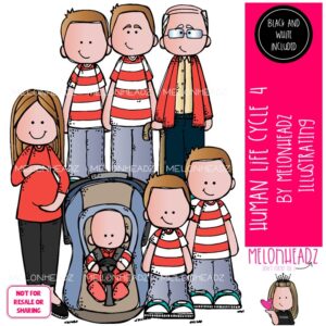 Human Life Cycle 4 clip art, sequence, growth Mini
