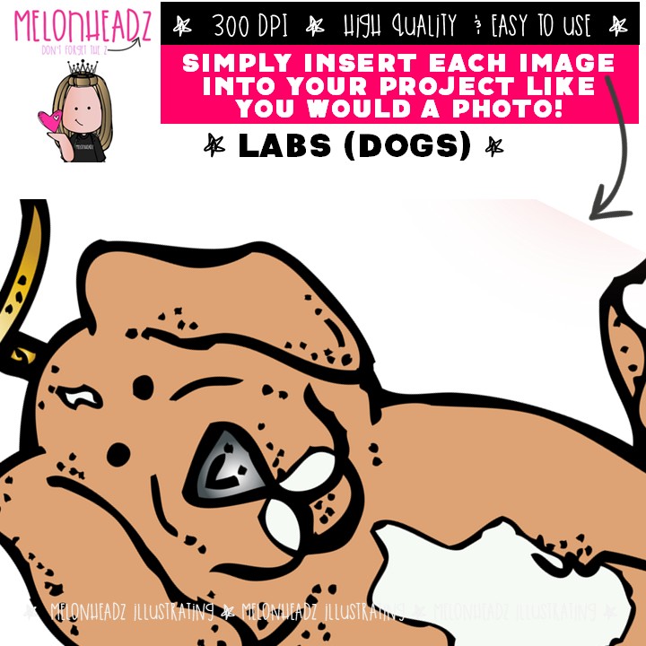 Dog clip art, Labs, Labrador, pet COLORED Version - Image 3