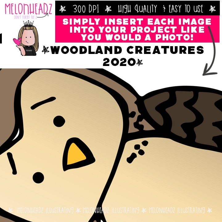 Woodland Creatures clip art 2020, forest animals COMBO PACK - Image 3