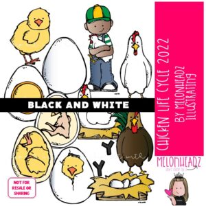 Chicken Life Cycle clip art 2022, egg, sequence BLACK AND WHITE