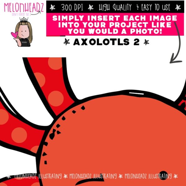 Axolotl clip art 2, Amphibian Mini - Melonheadz