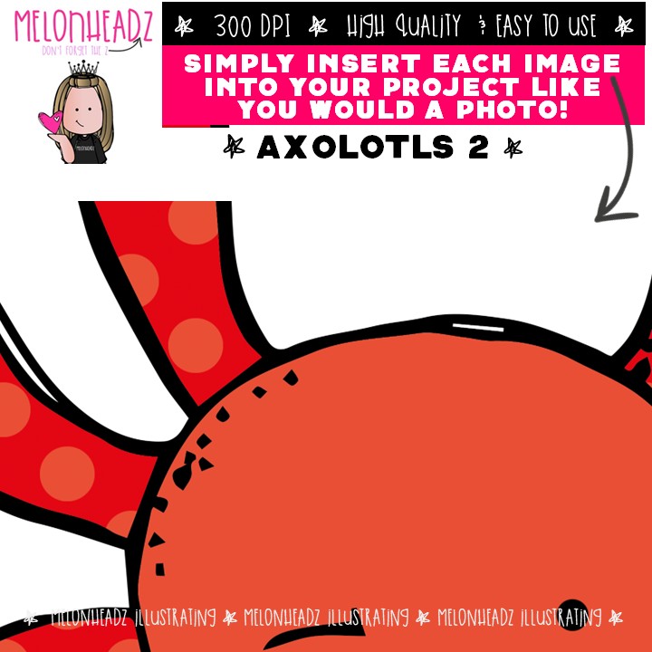 Axolotl clip art 2, Amphibian clip art Mini - Image 3