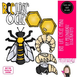 Bee Life Cycle clip art, science, sequence MINI