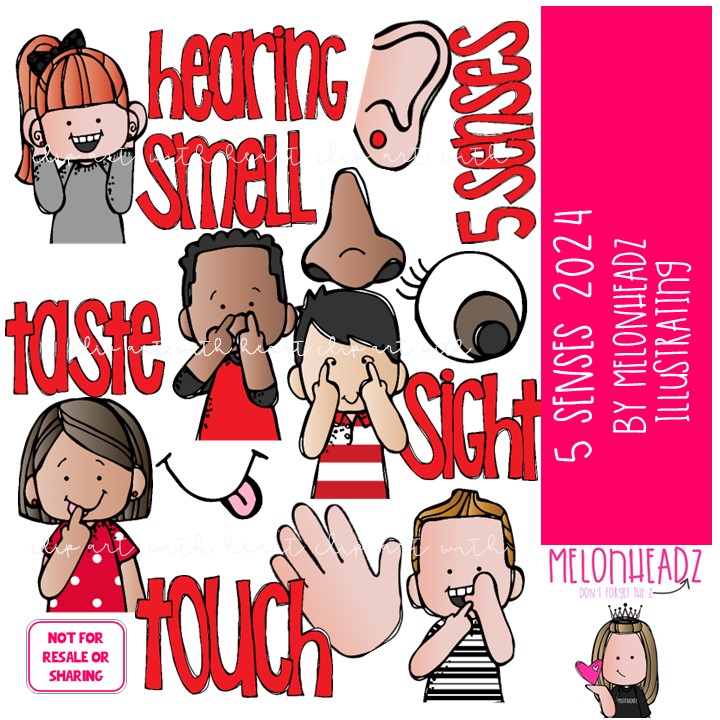 5 {five} Senses clip art 2024, Smell clip art, Sight clip art, Hearing clip art COLORED