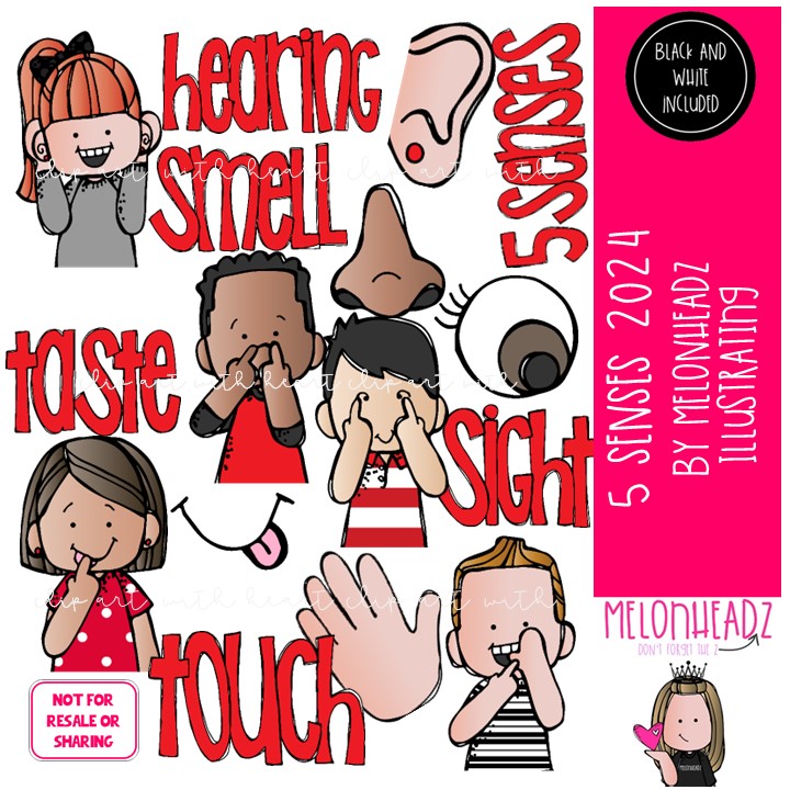 5 {five} Senses clip art 2024, Smell clip art, Sight clip art, Hearing clip art COMBO PACK