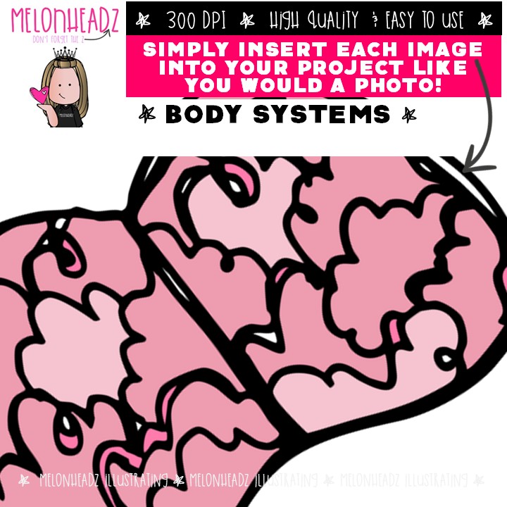 Body Systems clip art, Simply Sweet COMBO PACK - Image 3