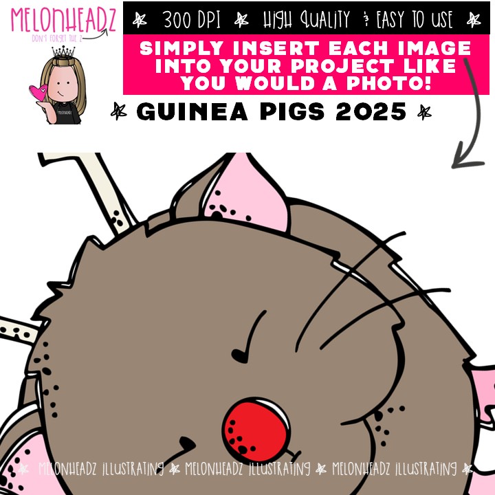 Guinea pigs 2025 clip art, Pet, rodent COLORED Version - Image 3