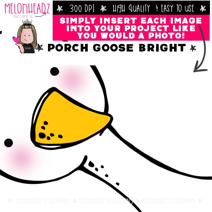 Porch Goose clip art, Build A, Mix and Match, year long BRIGHT COMBO PACK - Image 3